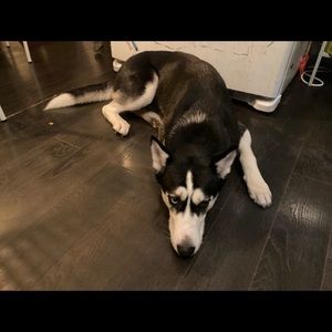 Meet your Posher, Felicia